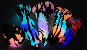 Medium Ceela -- Medium silicone -- C-2574